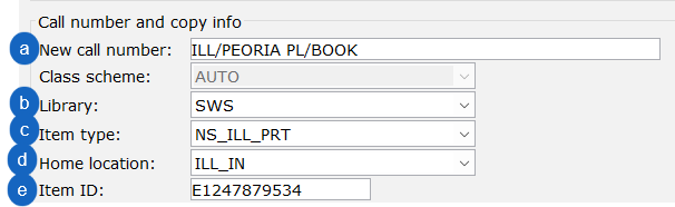 Screen shot of call number information in client